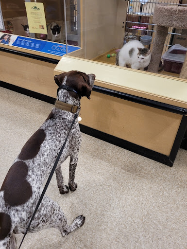 Pet Supply Store «PetSmart», reviews and photos, 2901 Texas Sage Trail, Fort Worth, TX 76177, USA