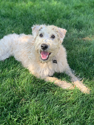 Pet Store «Animal Kingdom», reviews and photos, 5000 S Arizona Mills Cir, Tempe, AZ 85282, USA