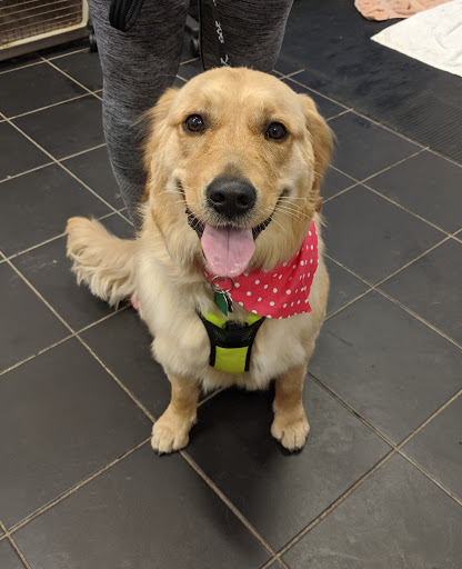 Pet Supply Store «Park Ave. Pets», reviews and photos, 993 Monroe Ave, Rochester, NY 14620, USA