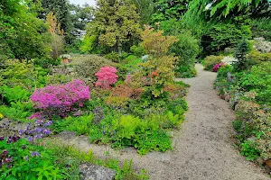 Alpengarten im Belvedere image