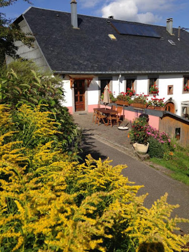 Lodge Les Gîtes de Mon Doux Nid - L'Hirondelle et la Hulotte Le Bonhomme