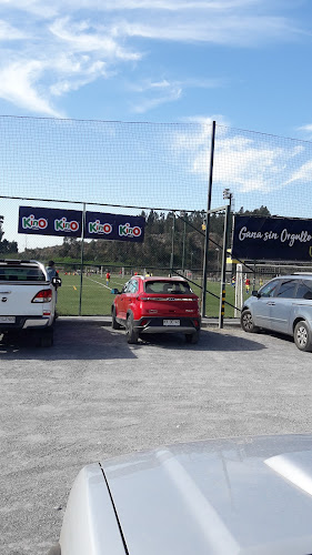 Opiniones de Campo Deportivo Campanil UdeC en Concepción - Campo de fútbol