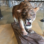 Photo n° 19 de l'avis de Haine.i fait le 11/08/2018 à 18:43 pour Parking Du Musée de La Préhistoire à Quinson