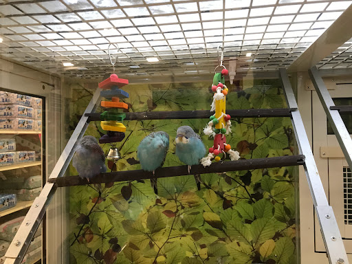 Pet Supply Store «PetSmart», reviews and photos, 4240 S Mooney Blvd, Visalia, CA 93277, USA