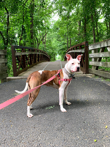 Pet Supply Store «Pet Supplies Plus», reviews and photos, 3120 NJ-35, Hazlet, NJ 07730, USA