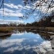 Lemon Creek Tidal Wetlands Area