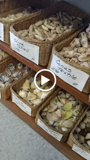 Gift Shop «Sea Shell Shoppe», reviews and photos, 120 N Austin St, Rockport, TX 78382, USA