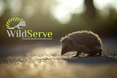 Wild Serve