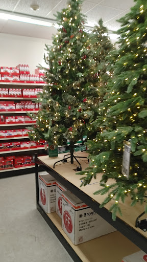 Discount Store «Big Lots», reviews and photos, 260 Voice Rd, Carle Place, NY 11514, USA