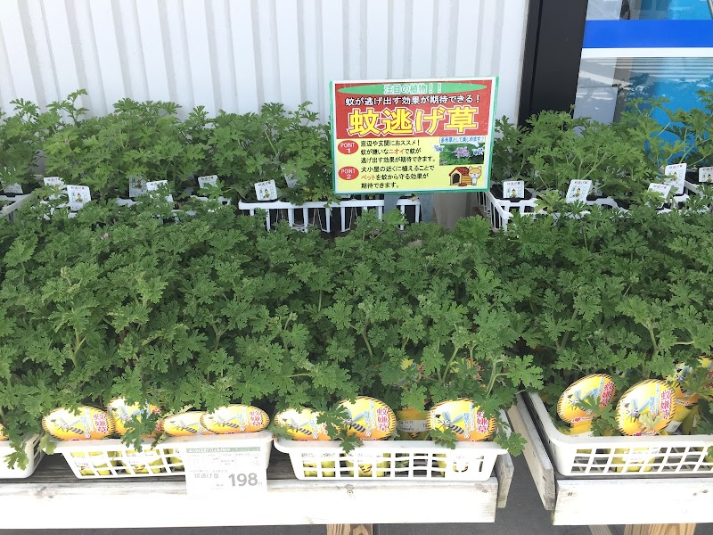 コメリリフォーム 須恵店 日本日本日本 リフォーム業 グルコミ