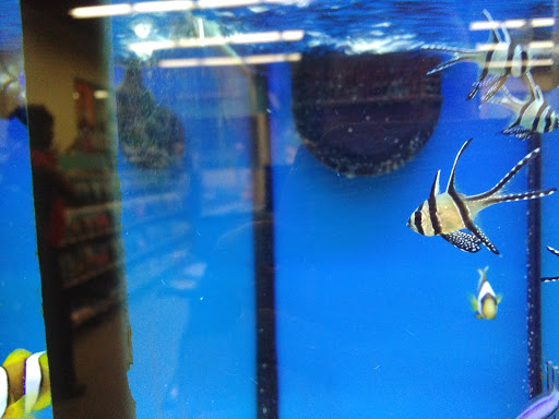 Pet Supply Store «Petco Animal Supplies», reviews and photos, 7400 Rivers Ave z, North Charleston, SC 29406, USA