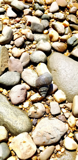 Park «Fort Foote Park», reviews and photos, Fort Foote Rd, Fort Washington, MD 20744, USA