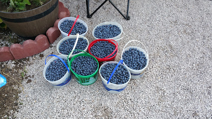 Blubaugh's Blueberries
