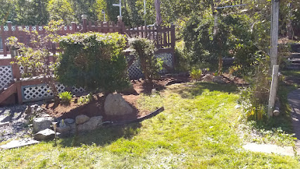 Code Green Landscaping & Property Services