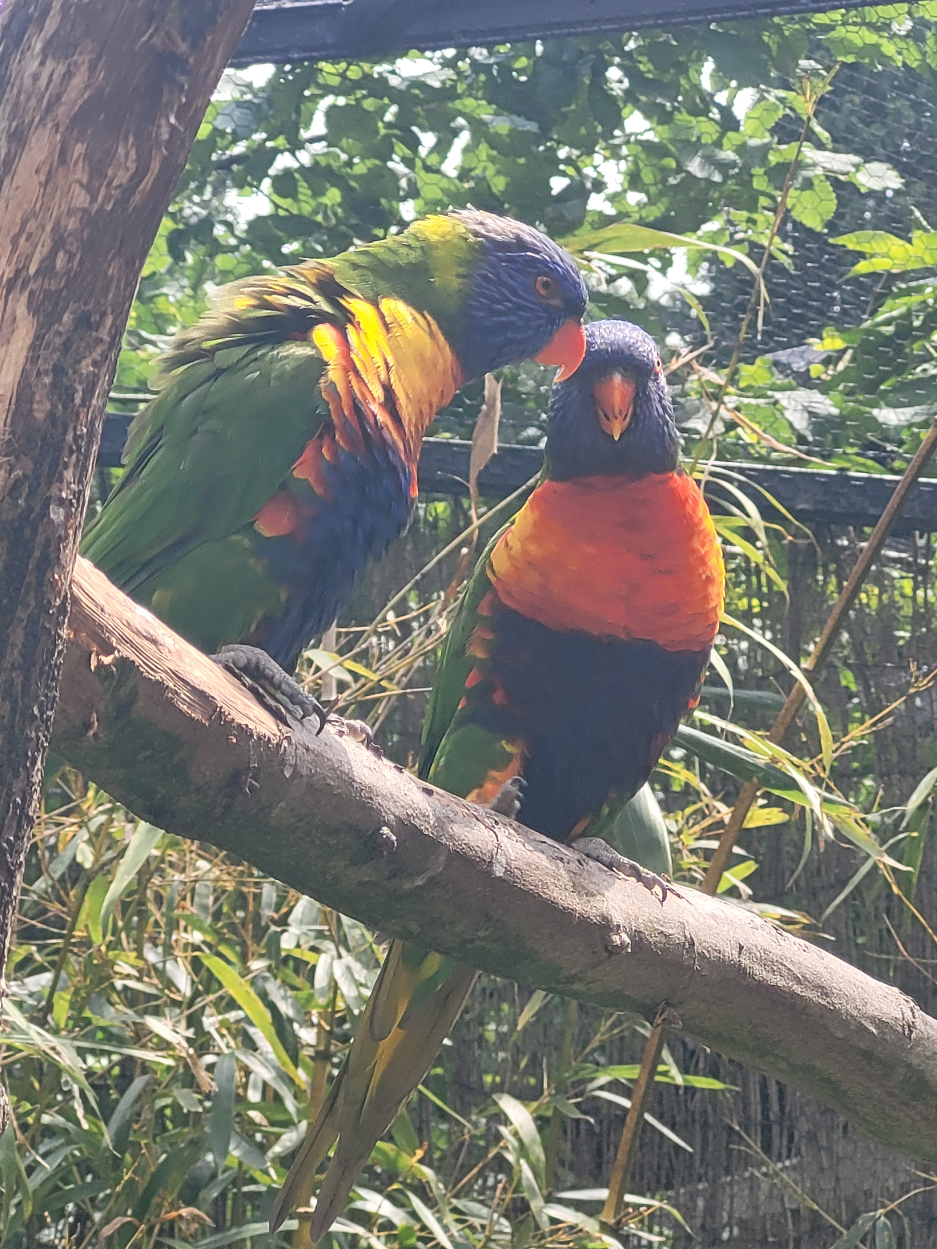 Photo n° 23 de l'avis de Vero.o fait le 14/06/2022 à 11:47