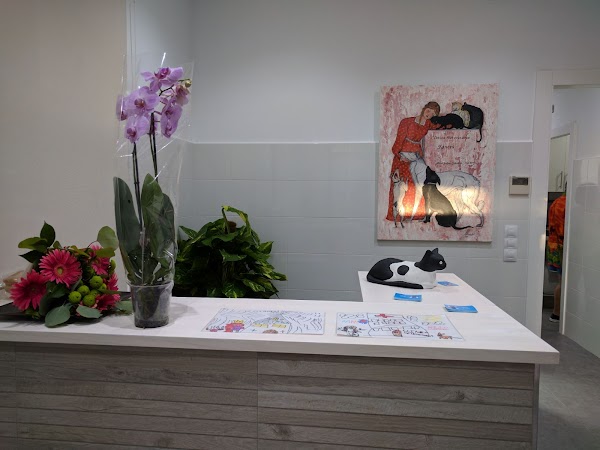 Imagen de Clínica Veterinria Foners (1 de 4)