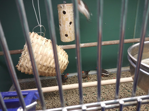 Pet Supply Store «Pet Club Santa Rosa», reviews and photos, 1935 Santa Rosa Ave, Santa Rosa, CA 95407, USA