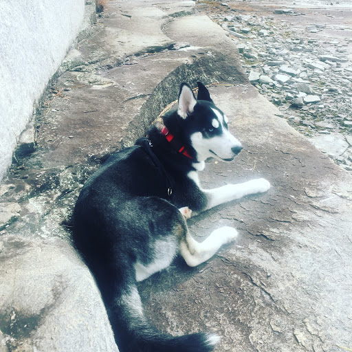 Nature Preserve «Davidson-Arabia Nature Preserve», reviews and photos, 3787 Klondike Rd, Lithonia, GA 30038, USA