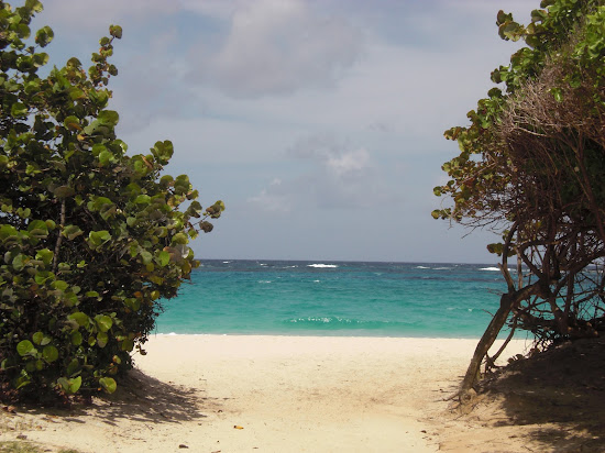 Macaroni beach