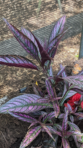 Zoo «Turtle Back Zoo», reviews and photos, 560 Northfield Ave, West Orange, NJ 07052, USA