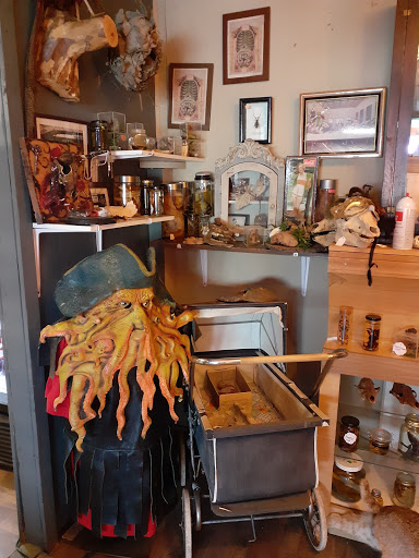 Explore october birth flower tattoo ideas, creative tattoo ideas in Muncie, available at Obscura Tattoo shop and Oddity Collective