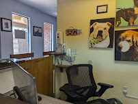 Elite Dogs Training & Boarding - Photo 9 - Car repair in West Sacramento, CA, Sacramento