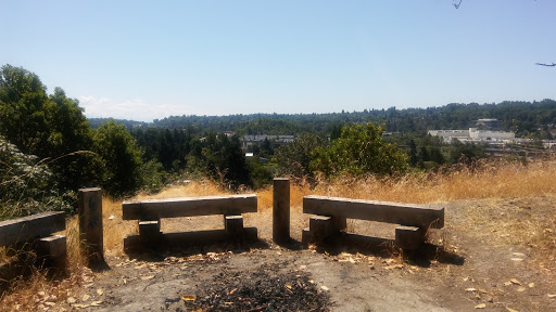 Park «Duwamish Hill Preserve», reviews and photos, 3800 S 115th St, Tukwila, WA 98168, USA