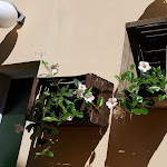 Photo n°4 de l'avis de Giulia.a fait le 22/09/2022 à 11:18 sur le  L'orto di Relé à Cervia