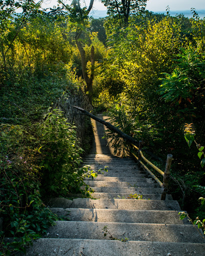 Landmark «The Pagoda», reviews and photos, 98 Duryea Dr, Reading, PA 19602, USA