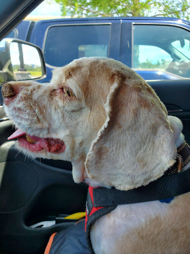 Pet Supply Store «Petco Animal Supplies», reviews and photos, 7303 Pinnacle Pkwy, Covington, LA 70433, USA