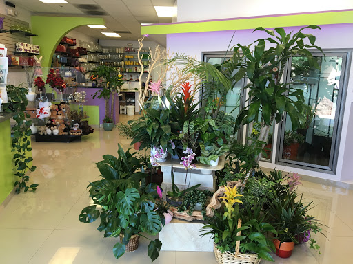 Florist «Elite Flowers and Gifts», reviews and photos, 20280 N 59th Ave #116, Glendale, AZ 85308, USA
