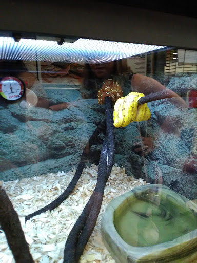 Pet Supply Store «Petco Animal Supplies», reviews and photos, 4665 Garth Rd #400, Baytown, TX 77521, USA