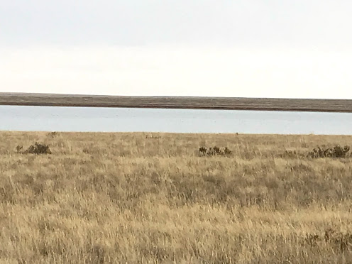 Photo of Korgalzhyn Nature Reserve