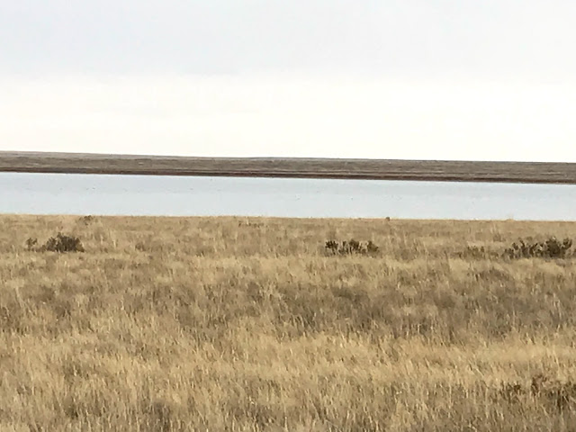 Korgalzhyn Nature Reserve by null