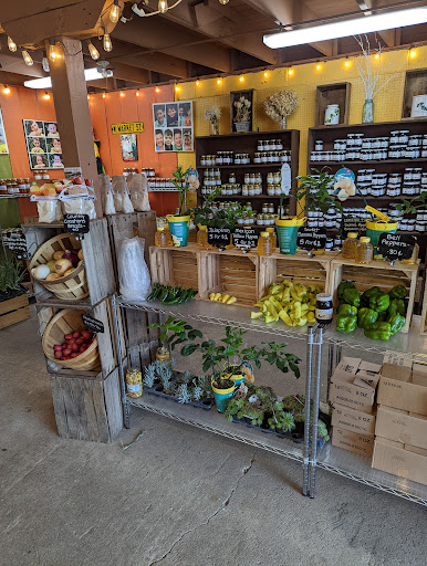 Selmi's Greenhouse, Sweet Corn, Pumpkin Patch and Orchard