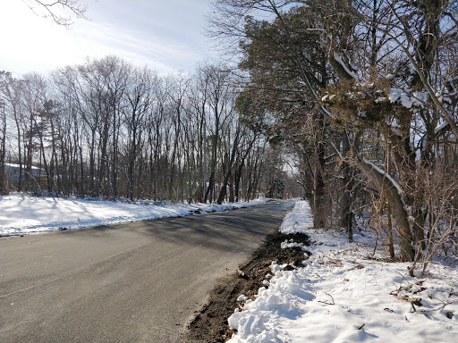 Recreation Center «Harrison Hale Community Center», reviews and photos, 61 Shirley Ln, Medford, NY 11763, USA