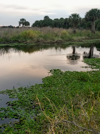 Nature Preserve «Buck Lake Conservation Area», reviews and photos, 4077 Cinnamon Teal Dr, Mims, FL 32754, USA