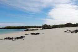 Foto von Barrington Bay wilde gegend