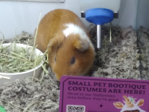 Pet Supply Store «Petco Animal Supplies», reviews and photos, 3444 S Mooney Blvd, Visalia, CA 93277, USA