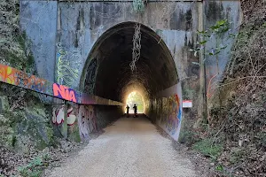 Northern Rivers Rail Trail - The Tweed section (24 km) image