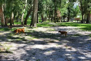 Arbor Dog Park image