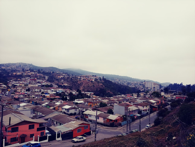 Cam. Troncal, Viña del Mar, Valparaíso, Chile