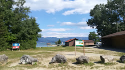 Forel plage'in fotoğrafı vahşi alan