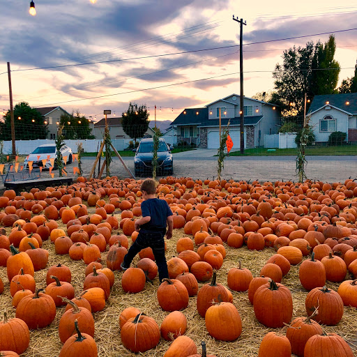 Produce Market «Kuwahara Farms», reviews and photos, 736 12300 S, Draper, UT 84020, USA