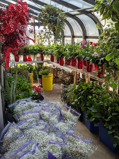 Florist «Wood Bros Flrsts Inc», reviews and photos, 651 Bridge St, Lowell, MA 01850, USA