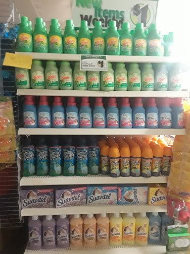 Dollar Store «Dollar Tree», reviews and photos, 4745 N Ocean Dr, Sea Ranch Lakes, FL 33308, USA