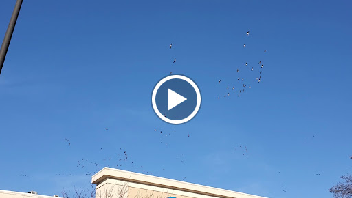 Pet Supply Store «PetSmart», reviews and photos, 985 Erica Ln, Yorkville, IL 60560, USA