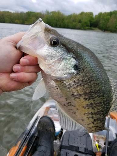 Vacation Home Rental Agency «Fish Island», reviews and photos, 3535 Blue Spring Rd, Cadiz, KY 42211, USA