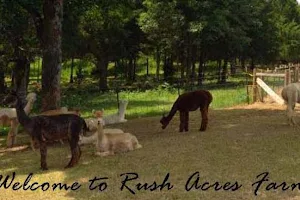 Rush Acres Farm image