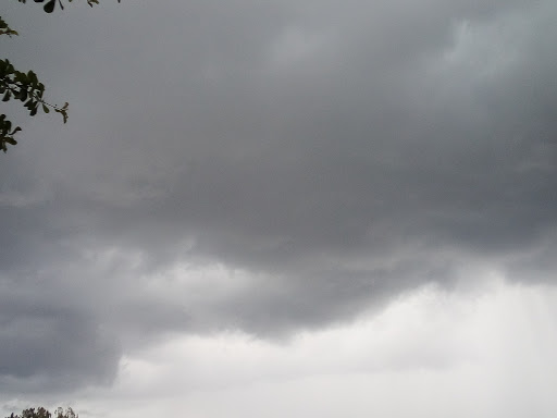 Park «Stephen J. Wortham Park», reviews and photos, 12108 Rhodine Rd, Riverview, FL 33579, USA